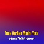 Zuma Ror Ramht Ullah artwork