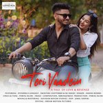 Teri Yaadein (A Tale of Love &amp; Revenge)