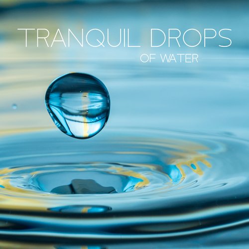 Water Spa cover art