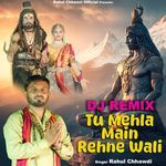 Tu Mehla Main Rehne Wali (DJ Remix)