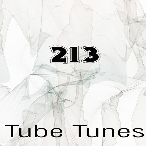 Tube Tunes, Vol.213