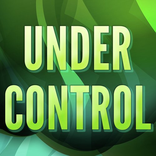 Under Control (A Tribute to Calvin Harris & Alesso and Hurts)