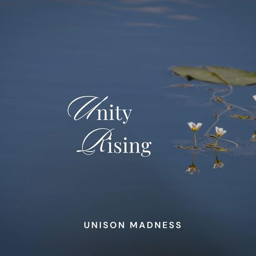 Unity Rising