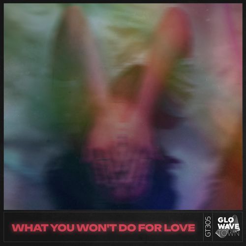 What You Won't Do For Love