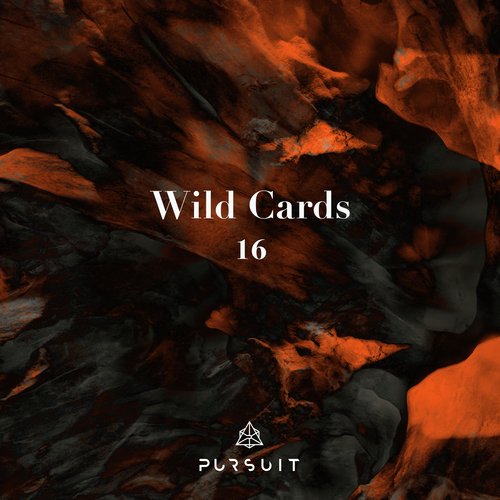 Wild Cards 16