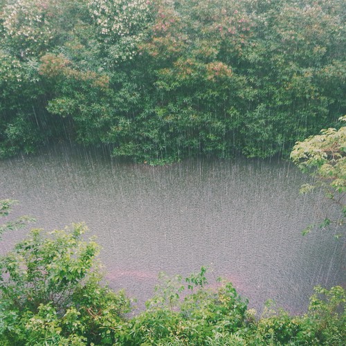 Running Water With Rain