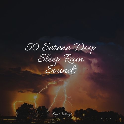 50 Serene Deep Sleep Rain Sounds