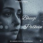 Bheegi Palkein