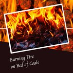 Beds Are Burning Music