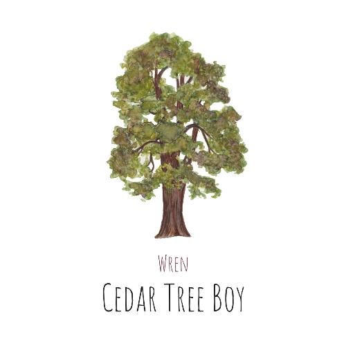 Cedar Tree Boy (feat. Krista Detor)