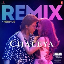 Chaleya Remix(Remix By Hermus)-Fx0oSUJ0BgA