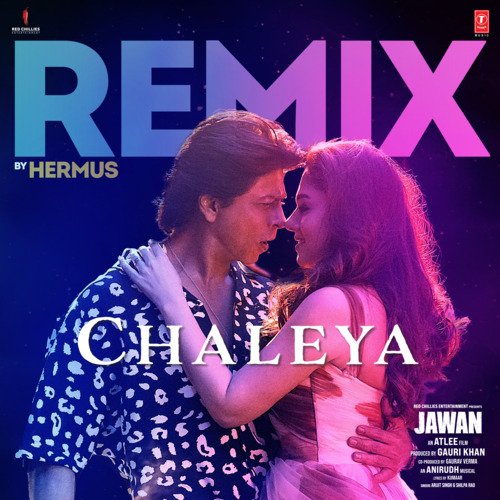Chaleya Remix