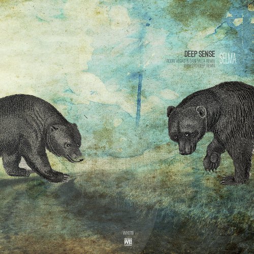 Deep Sense (Rodri Vegas & Dani Villa Remix) cover art