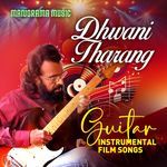 Mazhathulli Palunkukal