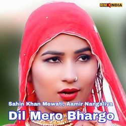 Dil Mero Bhargo-Ixk6AxV,Qng