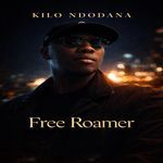 Free Roamer artwork