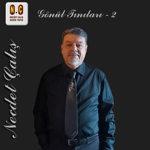 Böyle Çok Severken Sevdiğim Seni cover art