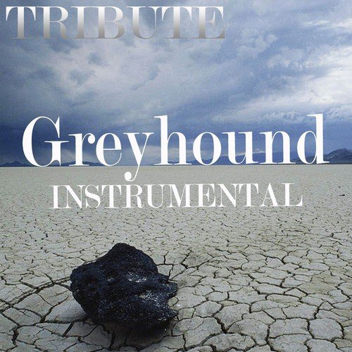Greyhound (Swedish House Mafia Tribute)