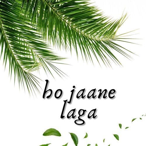 Ho jaane laga