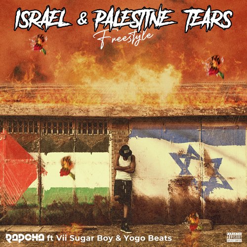 Israel &amp; Palestine Tears (Freestyle)_poster_image