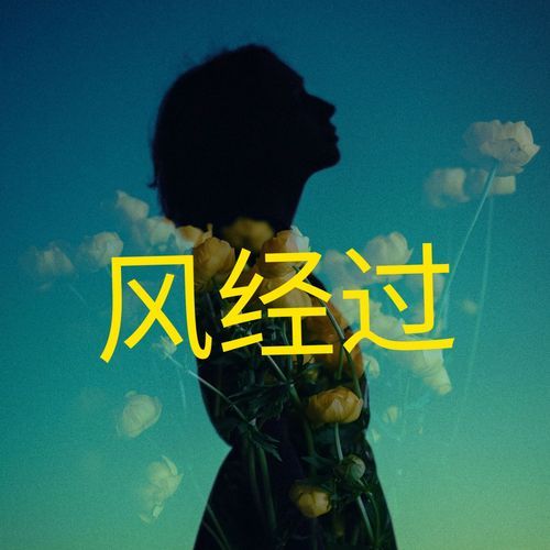 风经过_poster_image