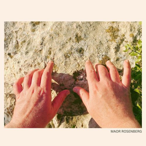 Melish cover art
