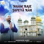 Naam Raje Da Japeya Kar