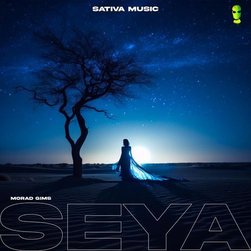 Seya (Sped up)_poster_image