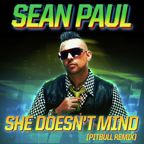 She Doesn't Mind (Pitbull Remix)