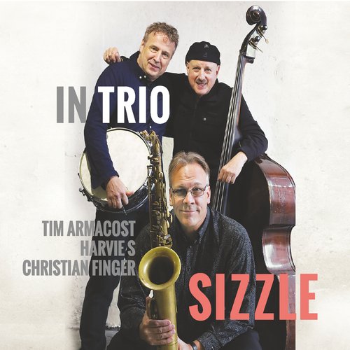 Sizzle cover art