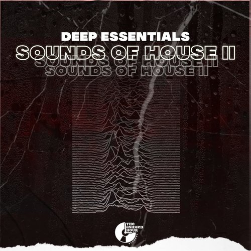 Sounds of House II_poster_image