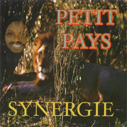 Synergie