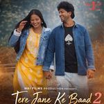 Tera Jane ke baad 2