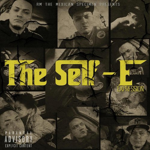 Successful (feat. Angelica Willey, Dr. Dilznik & The Last Rekrute) cover art