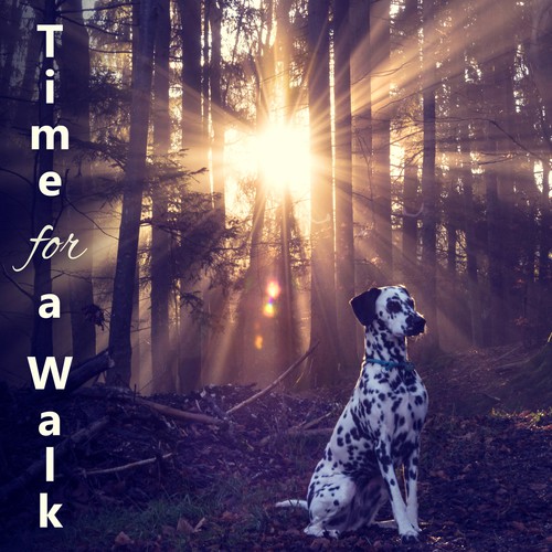 Dog Wellness cover art