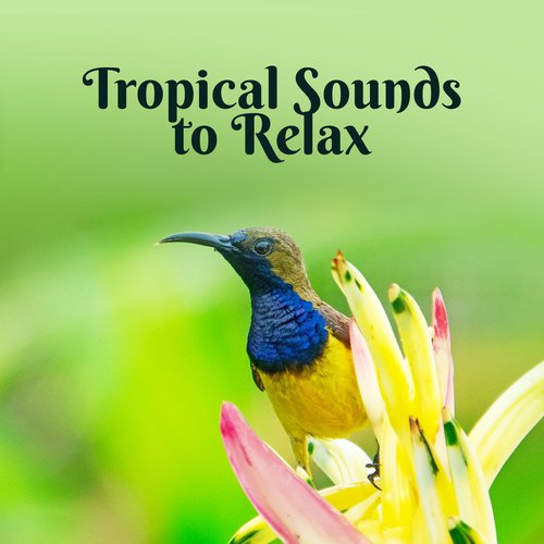 Deep Lounge cover art