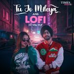 Tu Jo Mileya (VDJ Fly LoFi)
