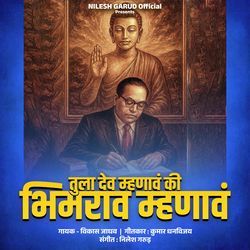 Tula Dev Mhanav Ki Bhimrao Mhanav