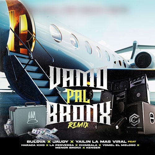 Vamo Pal Bronx (Remix) cover art