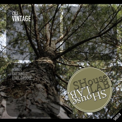 Vintage (Gaetano C Remix) cover art