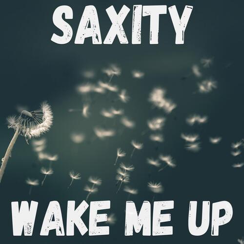 Wake Me Up (Acoustic Guitar & Saxophone Edit)