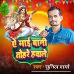 Ye Mai Bani Tohre Hawale