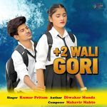 +2 Wali Gori