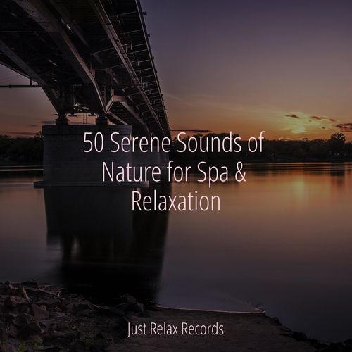 Ephemeral Sunset Symphony cover art