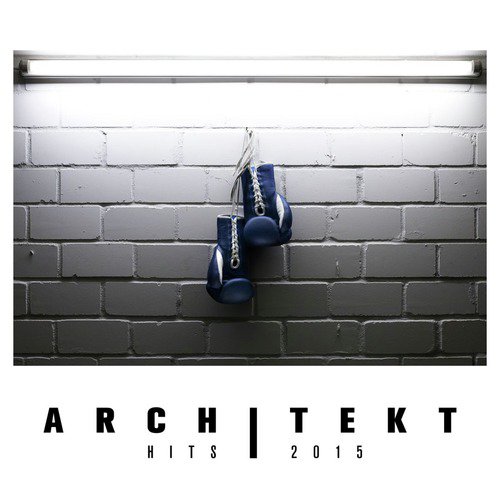 Architekt Hits 2015_poster_image