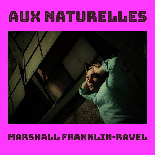 The Theme From Marshall cover art