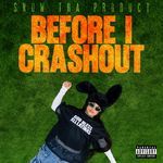 Before I Crashout (Intro)