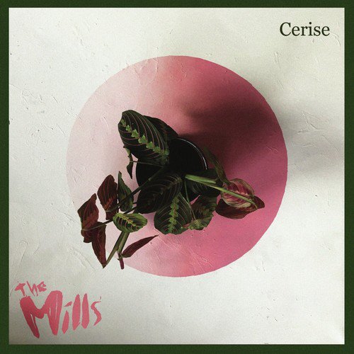 Cerise