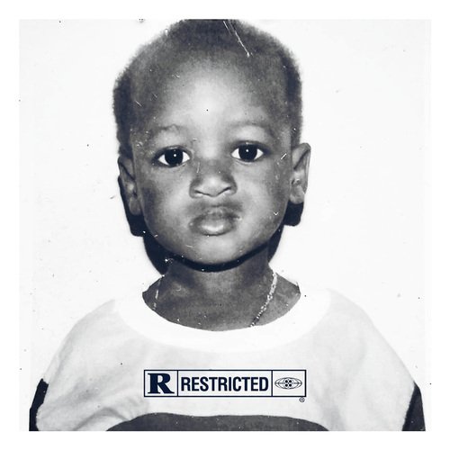 Flava In Ya Ear (Remix) cover art