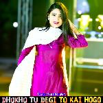 Dhokho Tu Degi To Kai Hogo